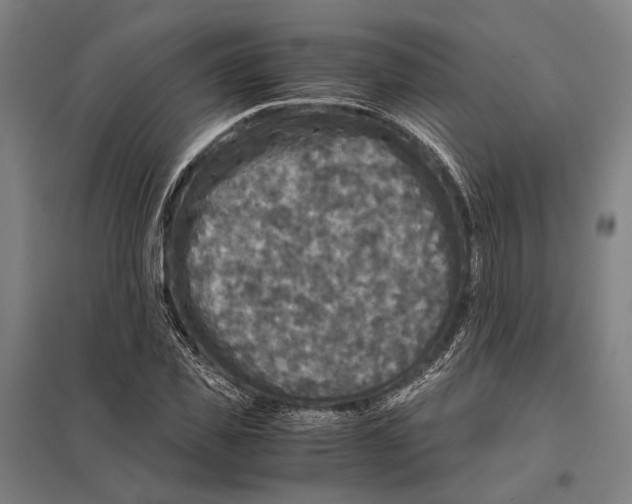 X0000097760925200803281630