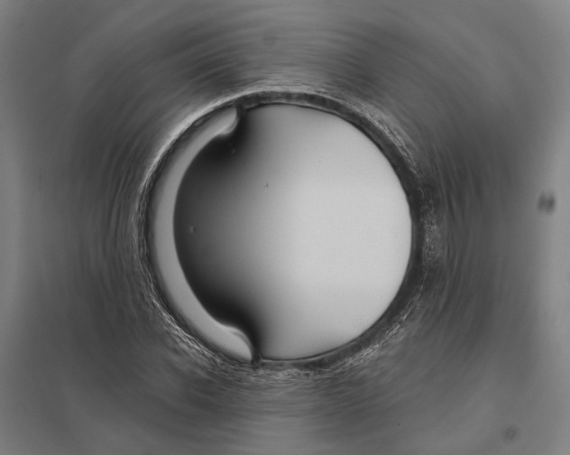 X0000097760926200803281630