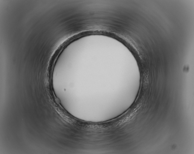 X0000097760927200803281630