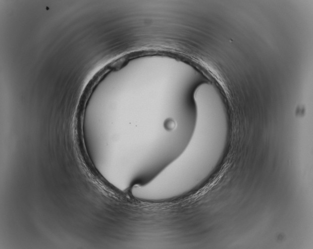 X0000097760928200803281630