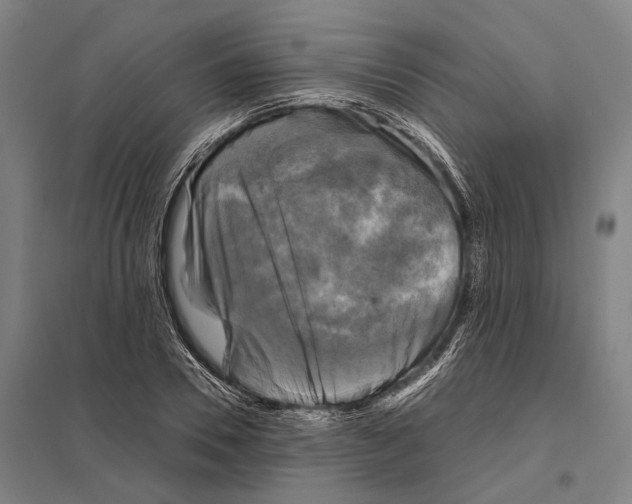 X0000097760930200803281630