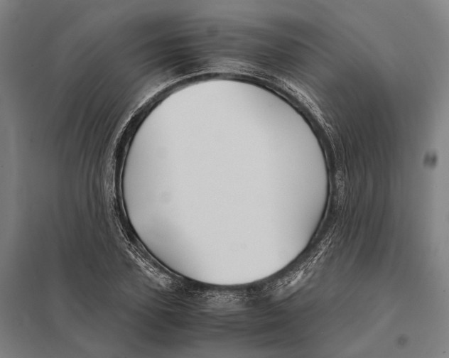 X0000097760931200803281630