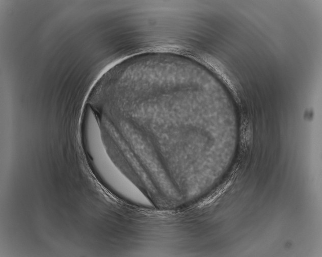 X0000097760932200803281630