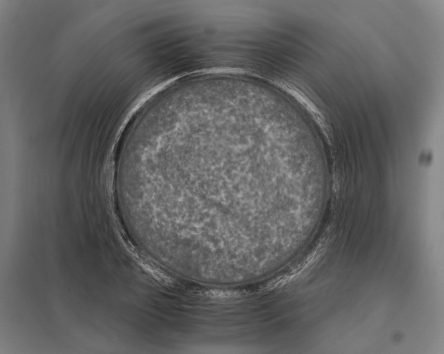 X0000097760933200803281630