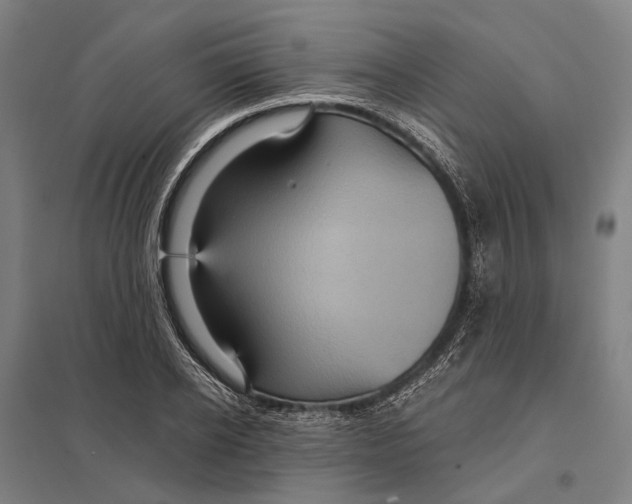 X0000097760934200803281630