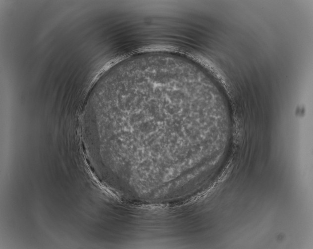 X0000097760937200803281630