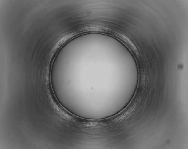 X0000097760938200803281630