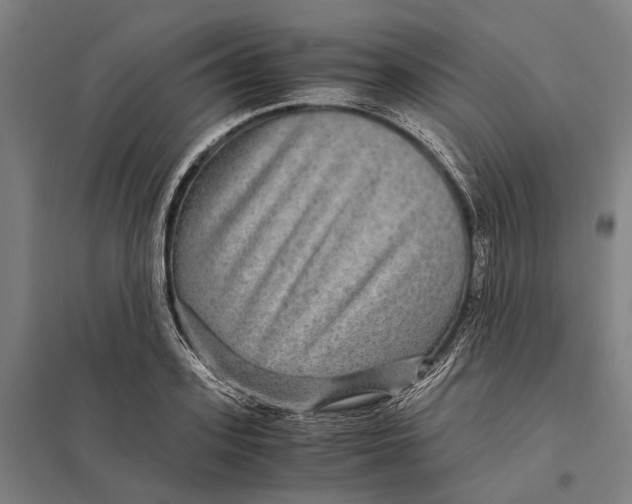 X0000097760939200803281630