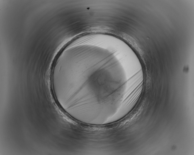 X0000097760941200803281630