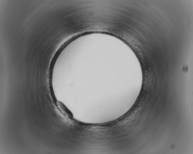 X0000097760942200803281630