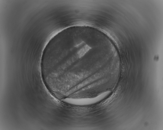 X0000097760943200803281630