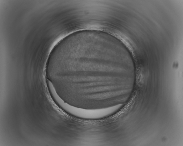 X0000097760944200803281630