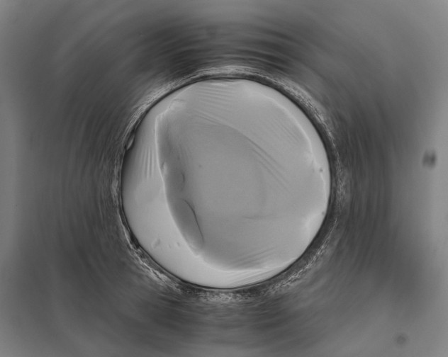 X0000097760945200803281630