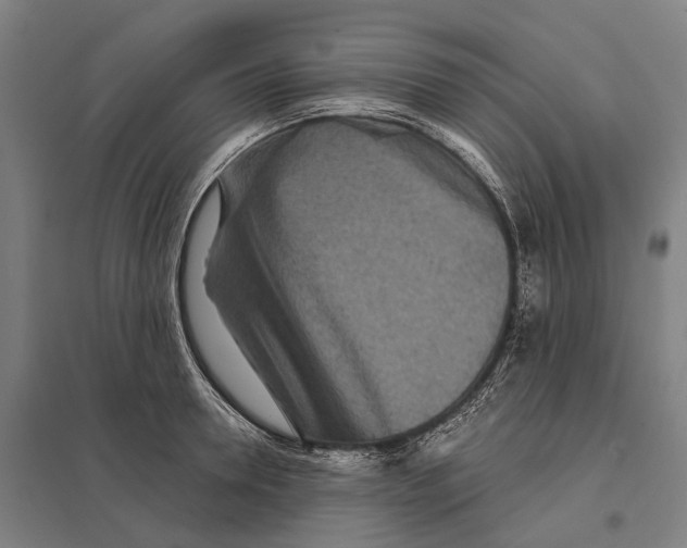 X0000097760946200803281630