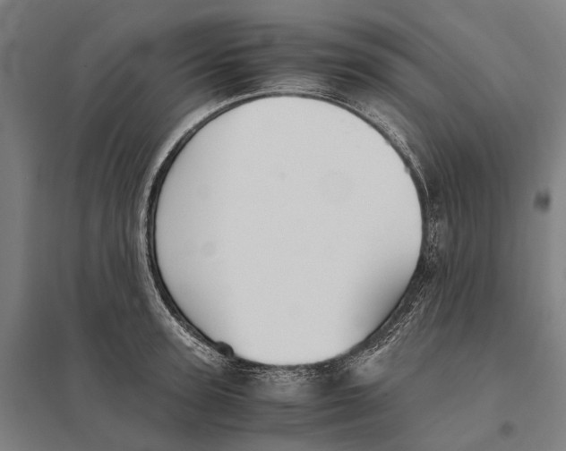 X0000097760947200803281630