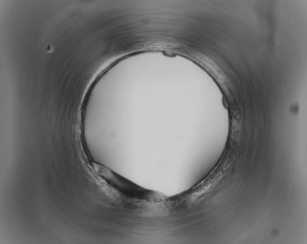 X0000097760948200803281630