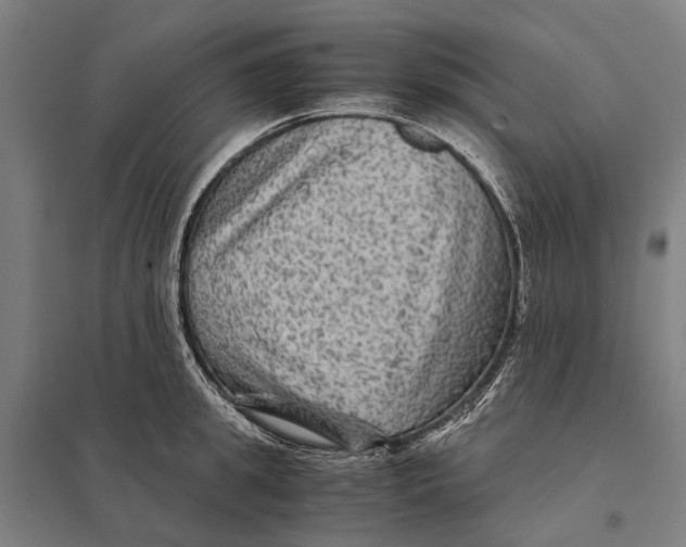 X0000097760949200803281630