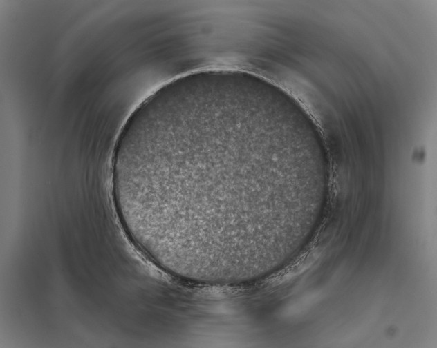 X0000097760950200803281630