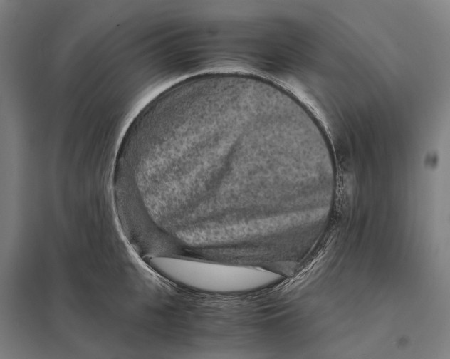 X0000097760951200803281630