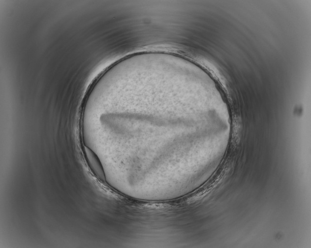 X0000097760952200803281630