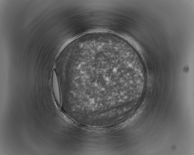 X0000097760953200803281630