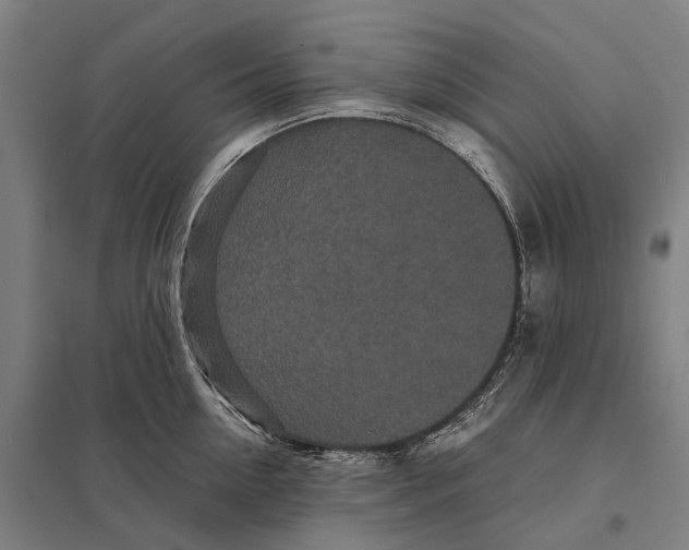 X0000097760954200803281630