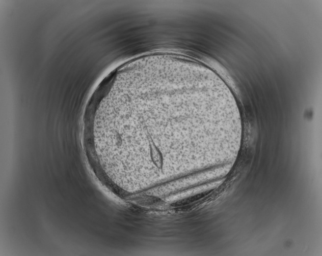 X0000097760955200803281630