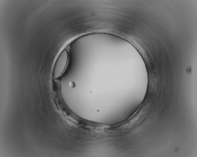 X0000097760956200803281630