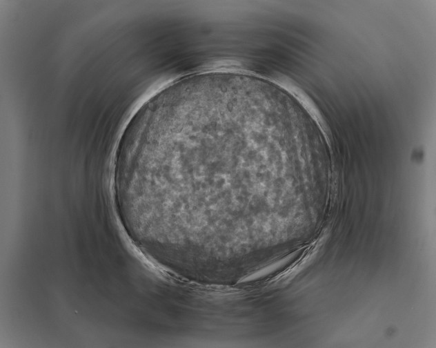 X0000097760957200803281630