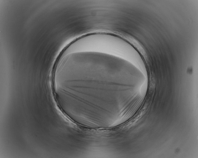 X0000097760958200803281630