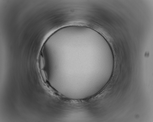 X0000097760960200803281630