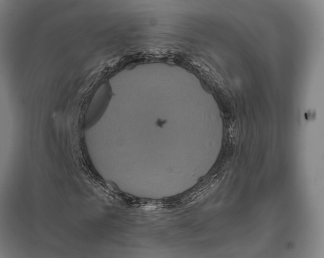 X0000097760961200803281630