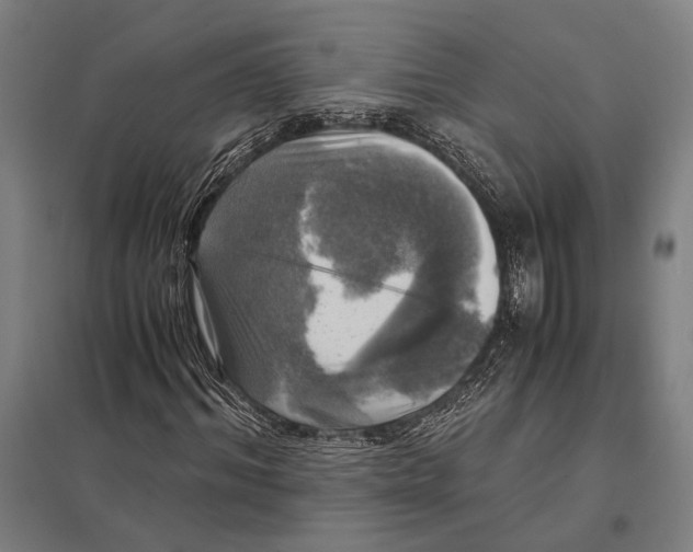 X0000097760964200803281630