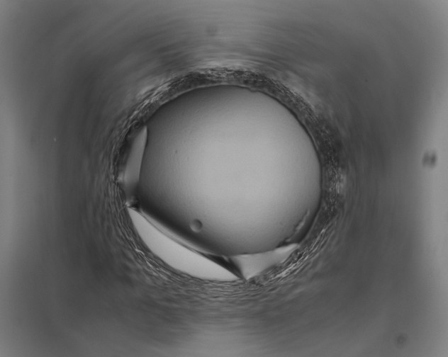 X0000097760965200803281630