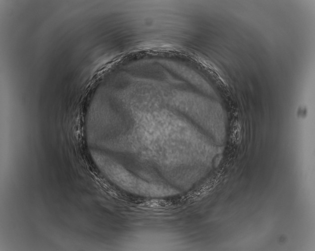 X0000097760966200803281630