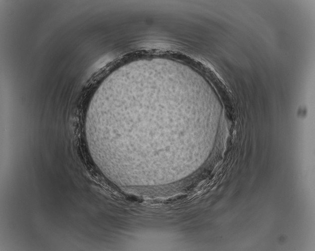 X0000097760967200803281630