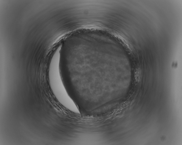 X0000097760968200803281630