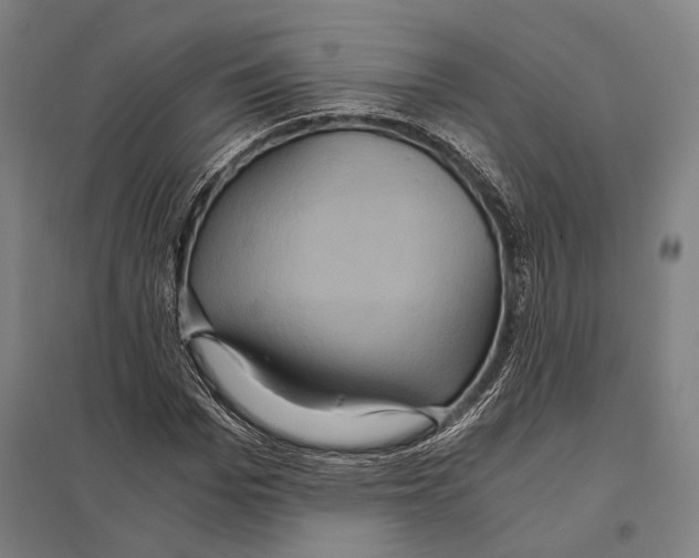 X0000097760969200803281630