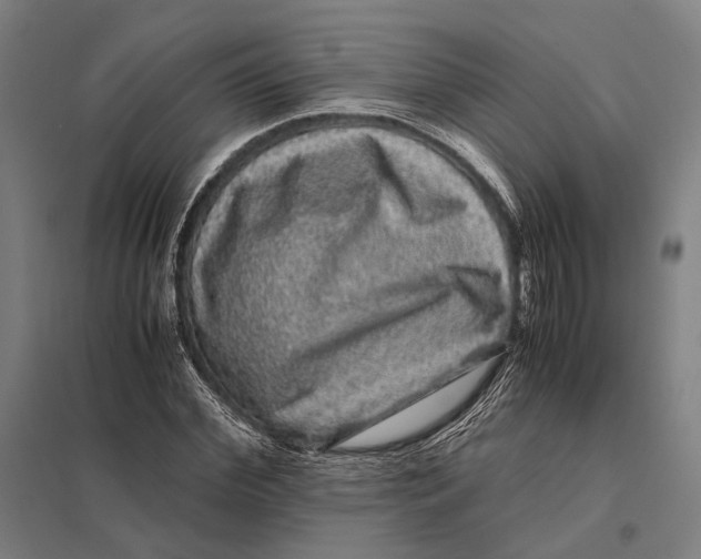 X0000097760972200803281630