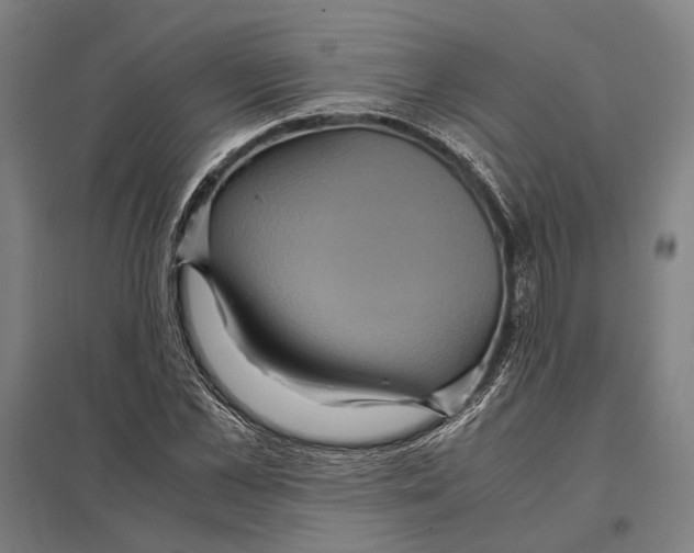 X0000097760973200803281630