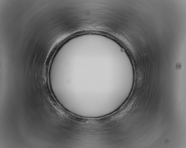 X0000097760974200803281630