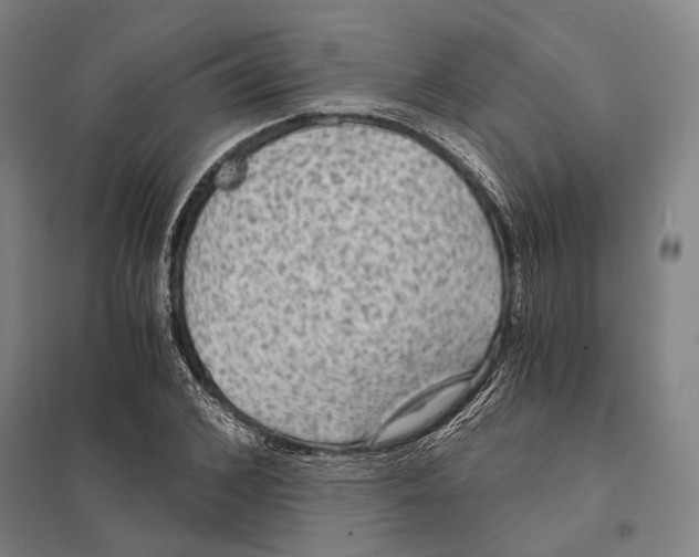 X0000097760976200803281630