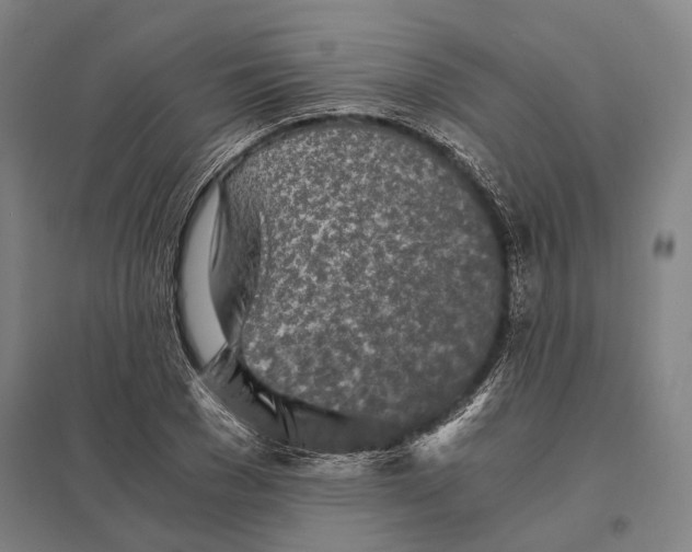 X0000097760977200803281630