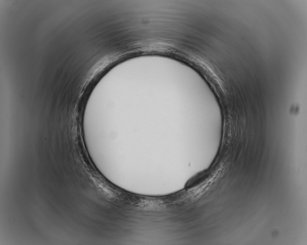 X0000097760978200803281630