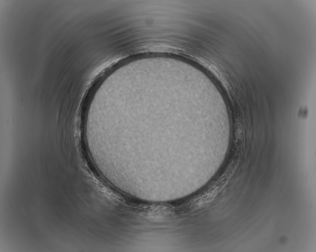 X0000097760979200803281630