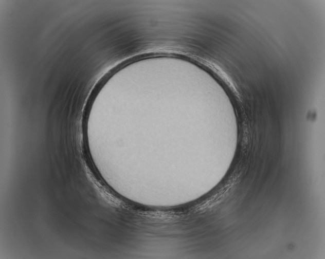 X0000097760980200803281630