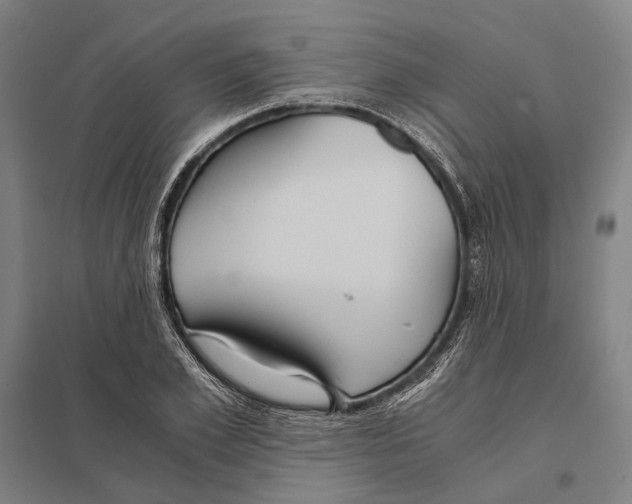 X0000097760981200803281630