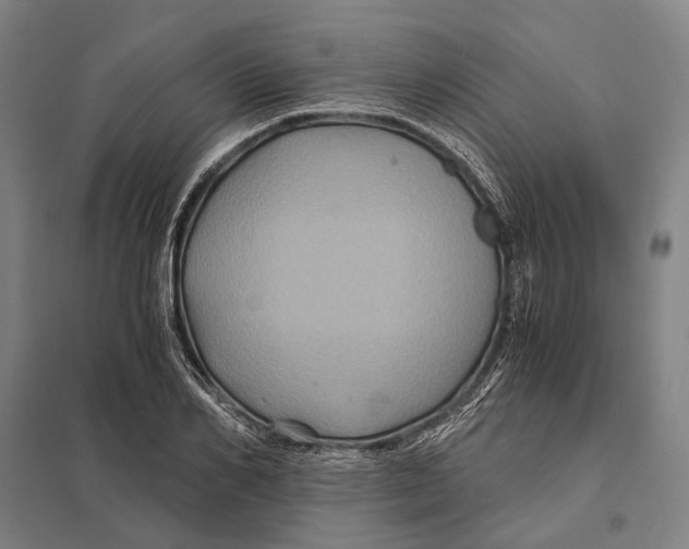 X0000097760982200803281629