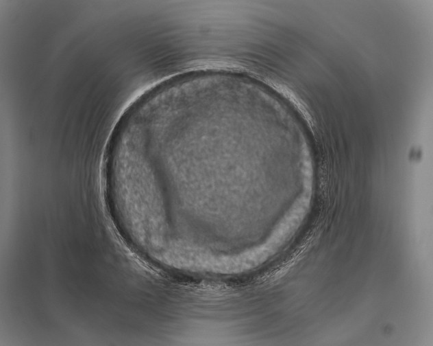 X0000097760983200803281629