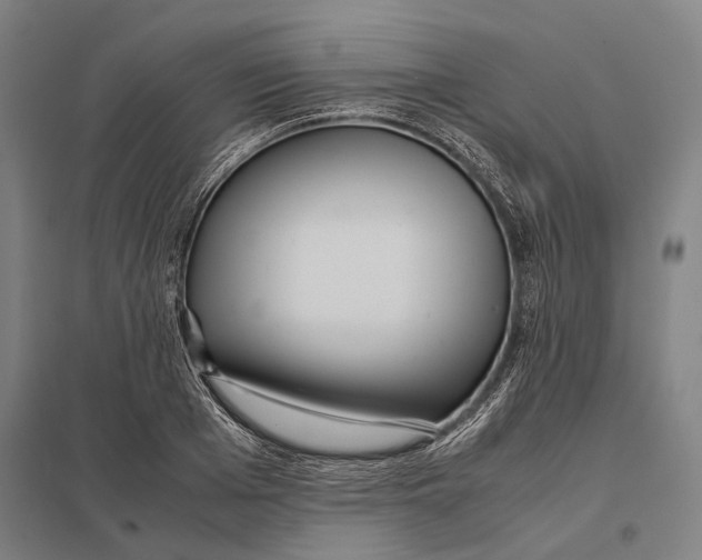 X0000097760985200803281629